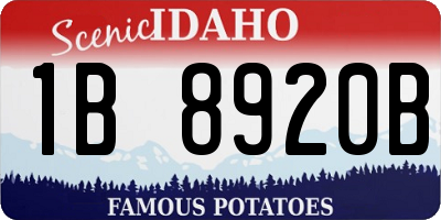 ID license plate 1B8920B