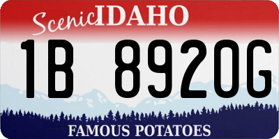 ID license plate 1B8920G