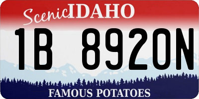 ID license plate 1B8920N