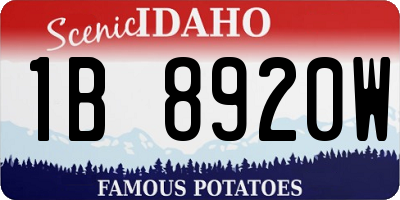 ID license plate 1B8920W