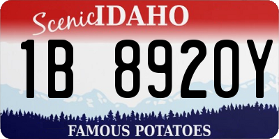 ID license plate 1B8920Y