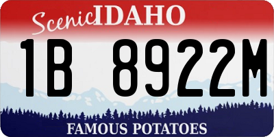 ID license plate 1B8922M