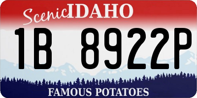 ID license plate 1B8922P