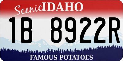ID license plate 1B8922R
