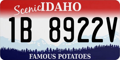 ID license plate 1B8922V