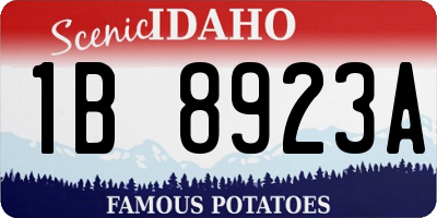ID license plate 1B8923A