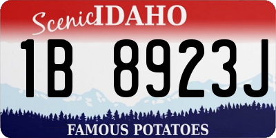 ID license plate 1B8923J