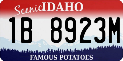 ID license plate 1B8923M