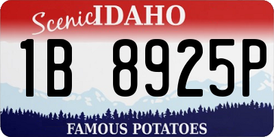 ID license plate 1B8925P