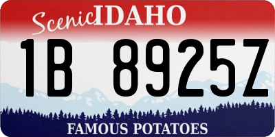 ID license plate 1B8925Z