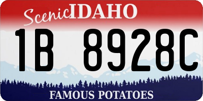 ID license plate 1B8928C