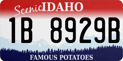 ID license plate 1B8929B
