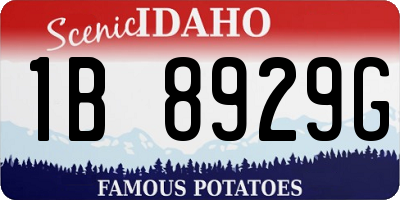 ID license plate 1B8929G