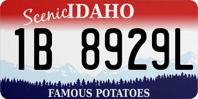ID license plate 1B8929L