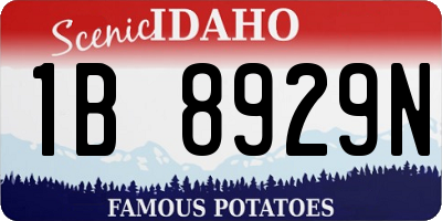 ID license plate 1B8929N