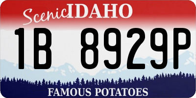 ID license plate 1B8929P