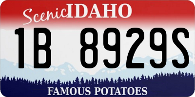 ID license plate 1B8929S