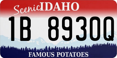 ID license plate 1B8930Q