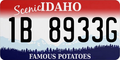 ID license plate 1B8933G