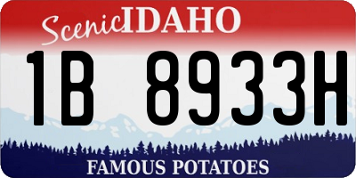 ID license plate 1B8933H