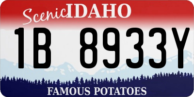 ID license plate 1B8933Y