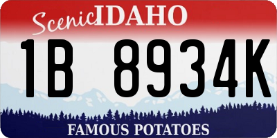 ID license plate 1B8934K