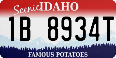 ID license plate 1B8934T