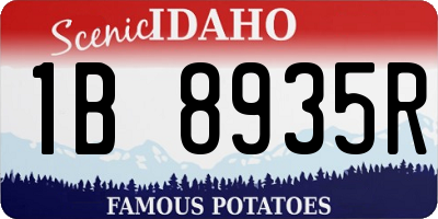 ID license plate 1B8935R