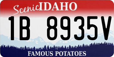 ID license plate 1B8935V
