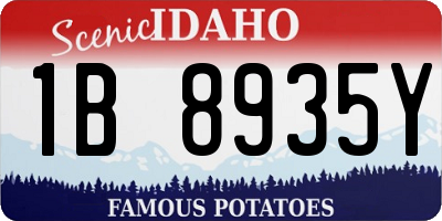 ID license plate 1B8935Y
