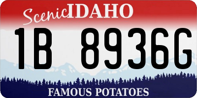 ID license plate 1B8936G
