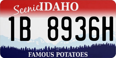 ID license plate 1B8936H