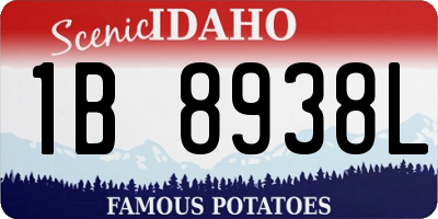 ID license plate 1B8938L