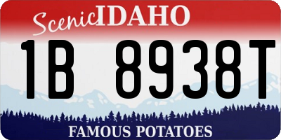 ID license plate 1B8938T