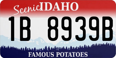 ID license plate 1B8939B