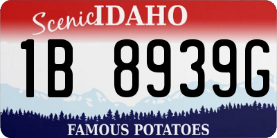 ID license plate 1B8939G