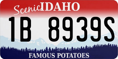 ID license plate 1B8939S