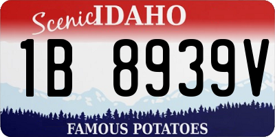 ID license plate 1B8939V