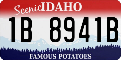 ID license plate 1B8941B