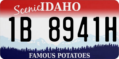 ID license plate 1B8941H