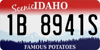 ID license plate 1B8941S