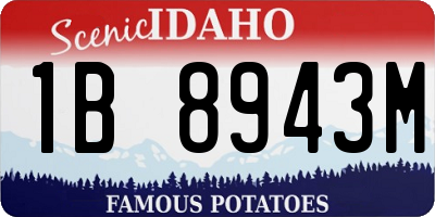 ID license plate 1B8943M