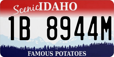 ID license plate 1B8944M