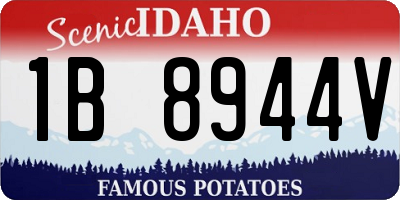 ID license plate 1B8944V
