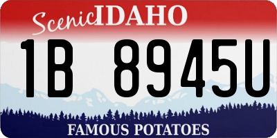 ID license plate 1B8945U