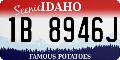 ID license plate 1B8946J