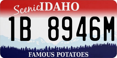 ID license plate 1B8946M