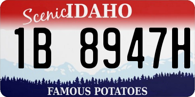 ID license plate 1B8947H