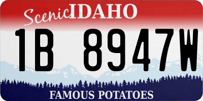 ID license plate 1B8947W