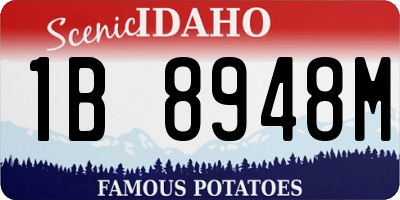 ID license plate 1B8948M